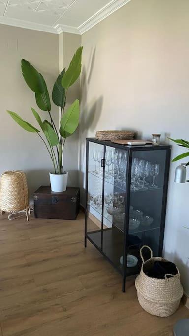 Apartment Primera Linea De Mar Y Playa Roses